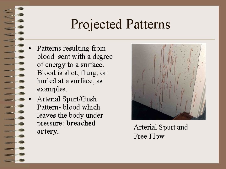 Projected Patterns • Patterns resulting from blood sent with a degree of energy to