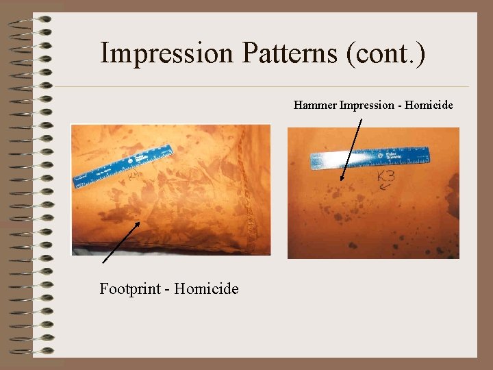 Impression Patterns (cont. ) Hammer Impression - Homicide Footprint - Homicide 