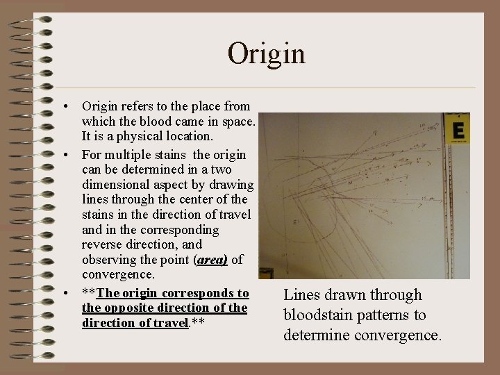 Origin • Origin refers to the place from which the blood came in space.