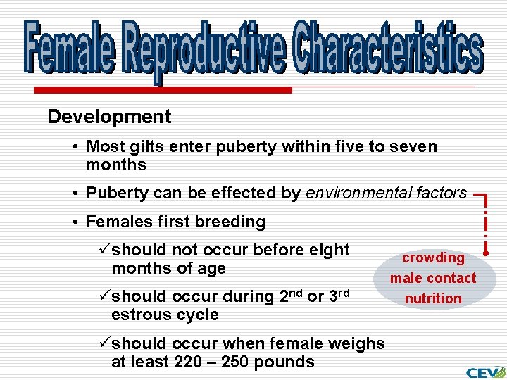 Development • Most gilts enter puberty within five to seven months • Puberty can