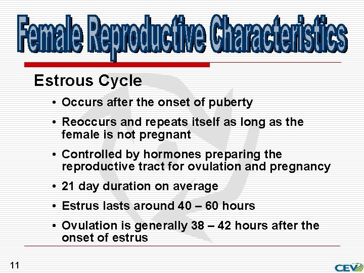Estrous Cycle • Occurs after the onset of puberty • Reoccurs and repeats itself