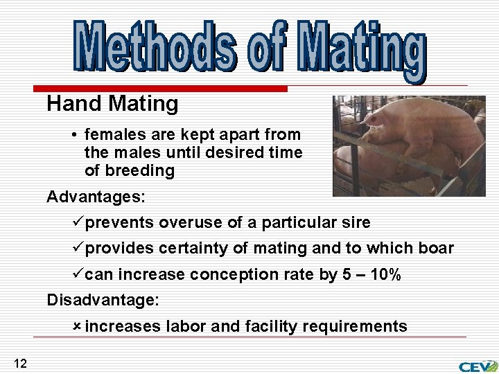 Hand Mating • females are kept apart from the males until desired time of