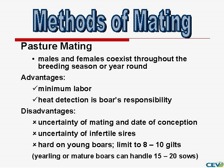 Pasture Mating • males and females coexist throughout the breeding season or year round