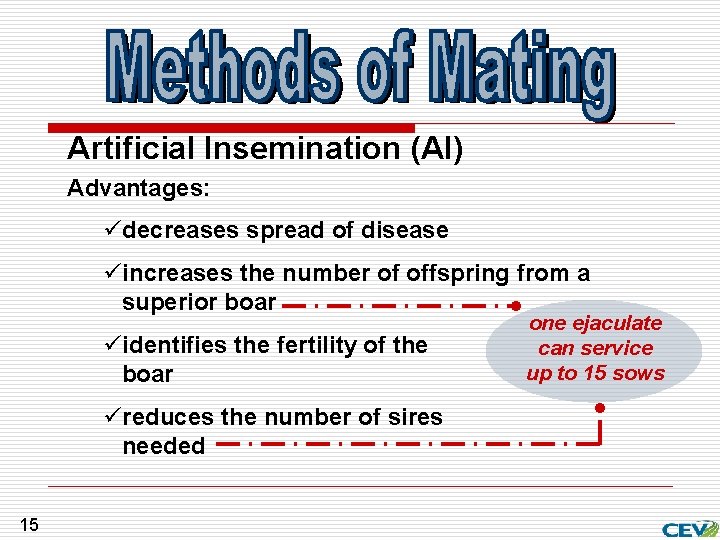 Artificial Insemination (AI) Advantages: üdecreases spread of disease üincreases the number of offspring from