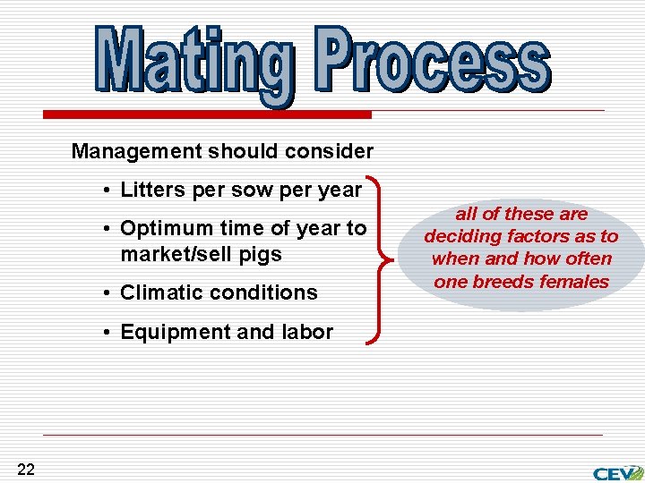Management should consider • Litters per sow per year • Optimum time of year