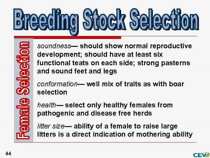 soundness— should show normal reproductive development; should have at least six functional teats on