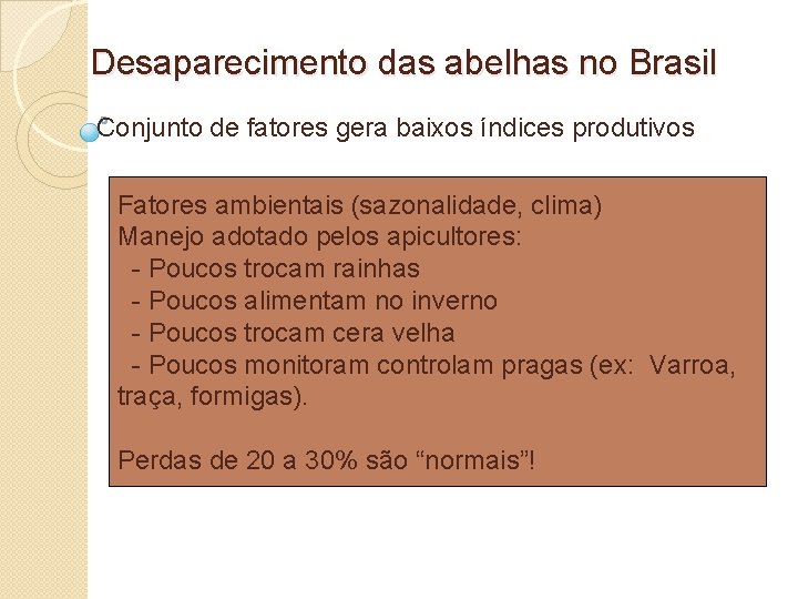 Desaparecimento das abelhas no Brasil Conjunto de fatores gera baixos índices produtivos Fatores ambientais