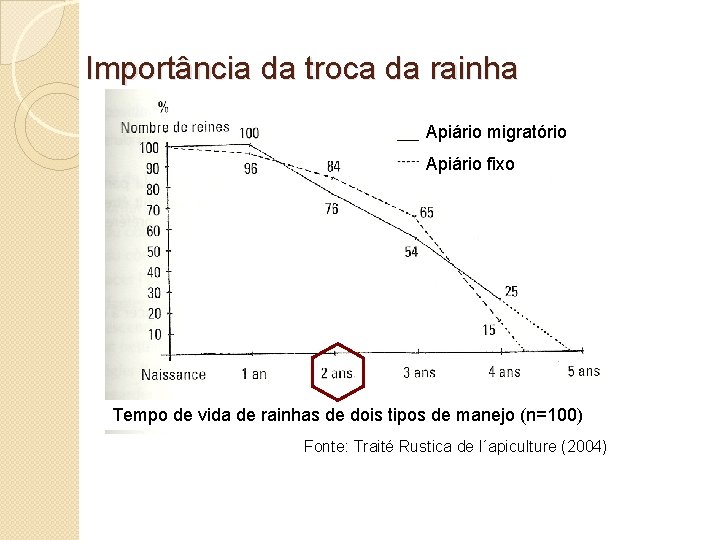 Importância da troca da rainha Apiário migratório Apiário fixo Tempo de vida de rainhas