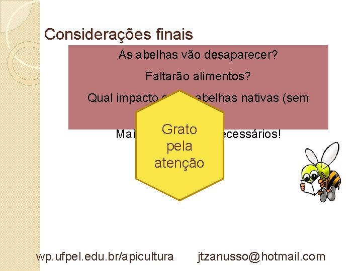 Considerações finais As abelhas vão desaparecer? Faltarão alimentos? Qual impacto sobre abelhas nativas (sem