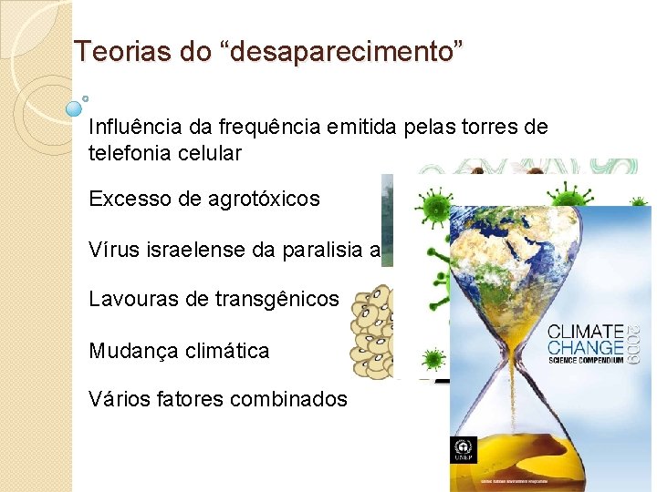 Teorias do “desaparecimento” Influência da frequência emitida pelas torres de telefonia celular Excesso de