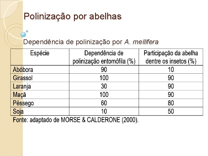 Polinização por abelhas Dependência de polinização por A. mellifera 