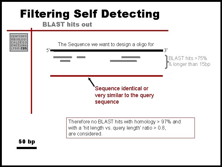 Filtering Self Detecting BLAST hits out The Sequence we want to design a oligo