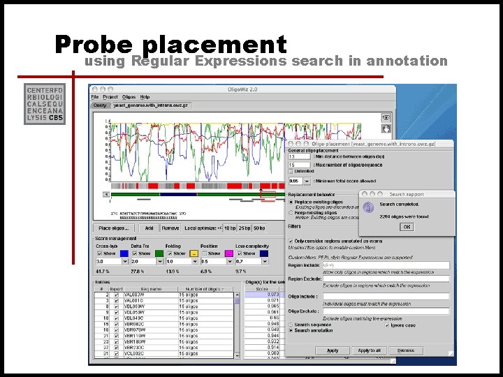 Probe placement using Regular Expressions search in annotation 