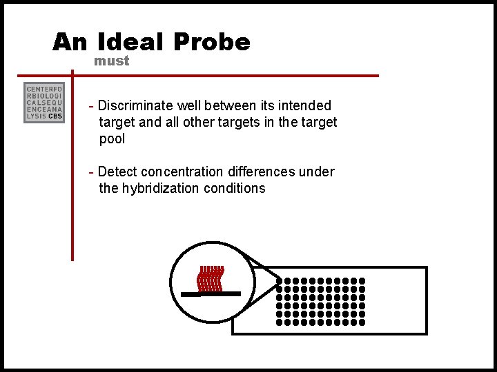 An Ideal Probe must - Discriminate well between its intended target and all other