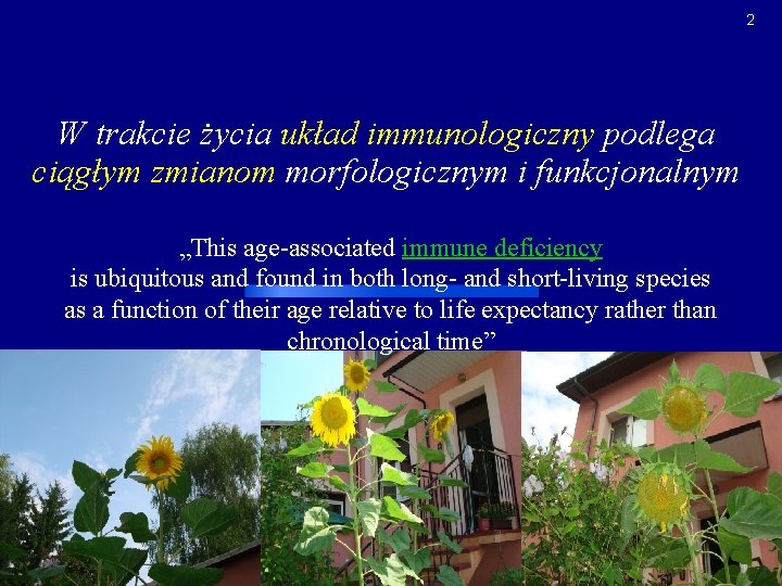 2 W trakcie życia układ immunologiczny podlega ciągłym zmianom morfologicznym i funkcjonalnym „This age-associated