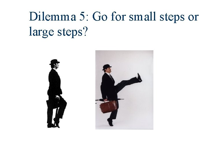 Dilemma 5: Go for small steps or large steps? 