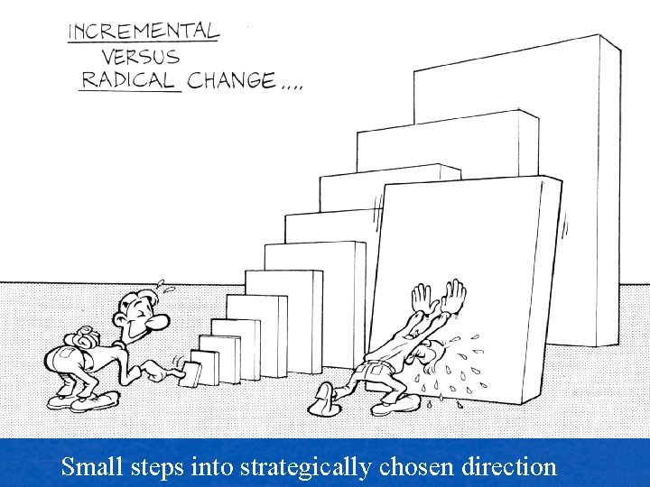 Small steps into strategically chosen direction 