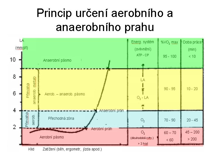 Princip určení aerobního a anaerobního prahu 