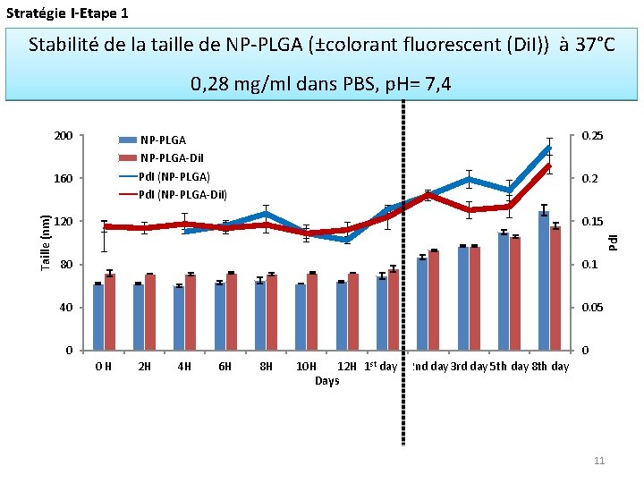 Stratégie I-Etape 1 Stabilité de la taille de NP-PLGA (±colorant fluorescent (Di. I)) à