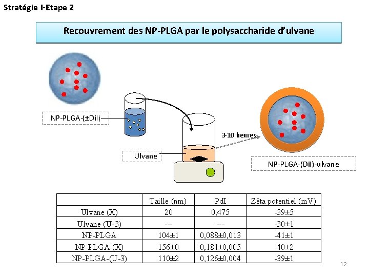 Stratégie I-Etape 2 Recouvrement des NP-PLGA par le polysaccharide d’ulvane NP-PLGA-(±Di. I) 3 -10