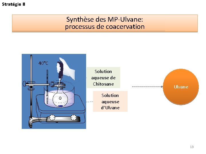 Stratégie II Synthèse des MP-Ulvane: processus de coacervation 40°C Solution aqueuse de Chitosane Ulvane