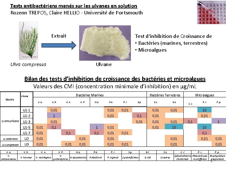 Tests antibactériens menés sur les ulvanes en solution Rozenn TREPOS, Claire HELLIO - Université