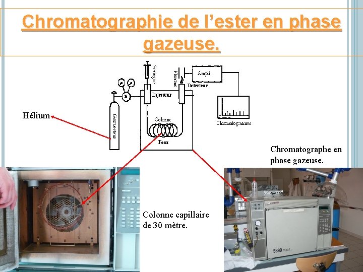 Chromatographie de l’ester en phase gazeuse. Hélium Chromatographe en phase gazeuse. Colonne capillaire de