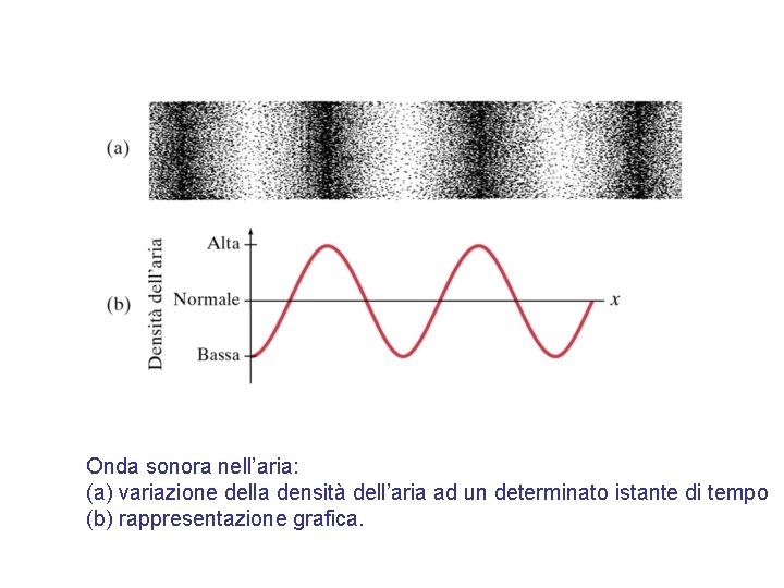 Onda sonora nell’aria: (a) variazione della densità dell’aria ad un determinato istante di tempo