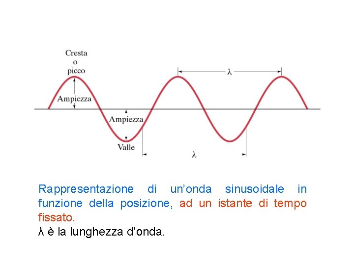 Rappresentazione di un’onda sinusoidale in funzione della posizione, ad un istante di tempo fissato.