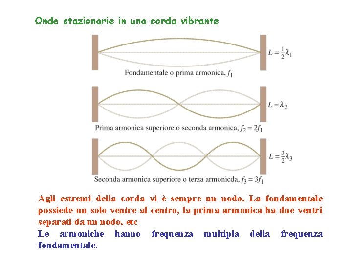 Onde stazionarie in una corda vibrante Agli estremi della corda vi è sempre un