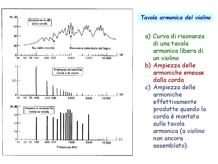 Tavola armonica del violino a) Curva di risonanza di una tavola armonica libera di