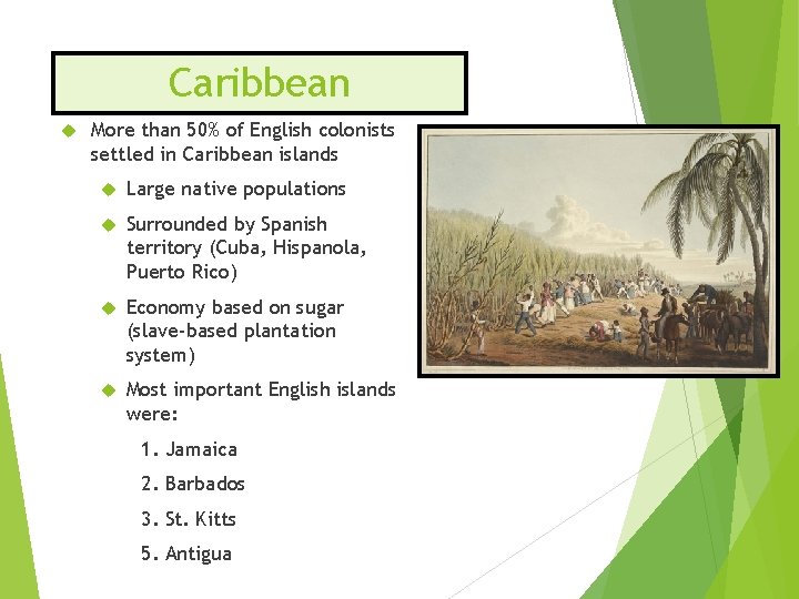 Caribbean More than 50% of English colonists settled in Caribbean islands Large native populations