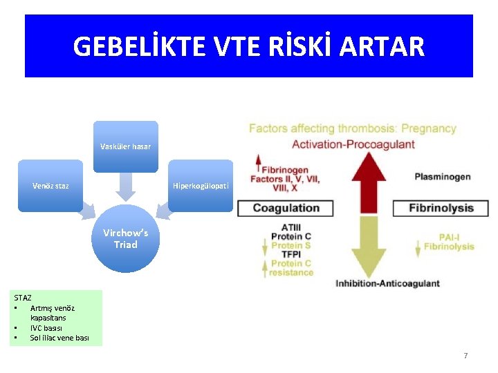 GEBELİKTE VTE RİSKİ ARTAR Vasküler hasar Venöz staz Hiperkogülopati Virchow’s Triad STAZ • Artmış