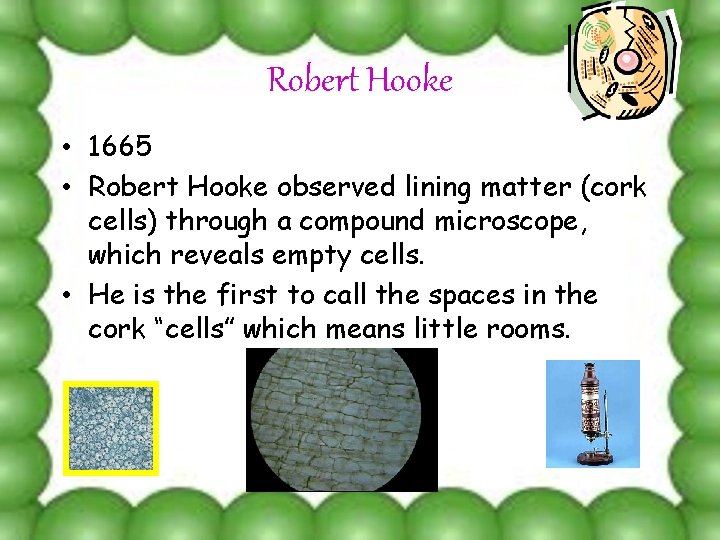 Robert Hooke • 1665 • Robert Hooke observed lining matter (cork cells) through a