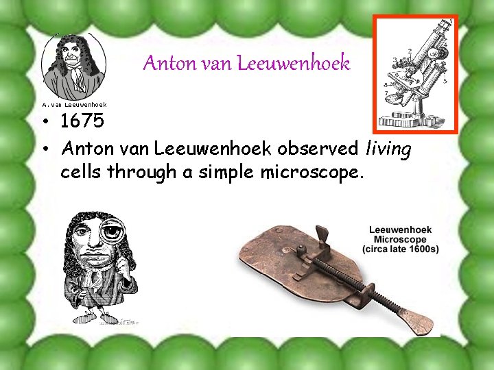 Anton van Leeuwenhoek • 1675 • Anton van Leeuwenhoek observed living cells through a