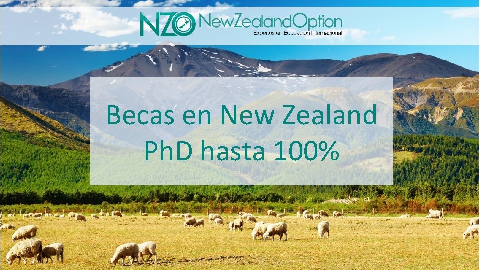 Becas en New Zealand Ph. D hasta 100% 