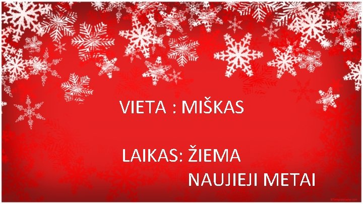 VIETA : MIŠKAS LAIKAS: ŽIEMA NAUJIEJI METAI 