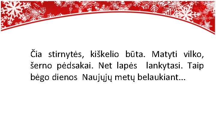 Čia stirnytės, kiškelio būta. Matyti vilko, šerno pėdsakai. Net lapės lankytasi. Taip bėgo dienos
