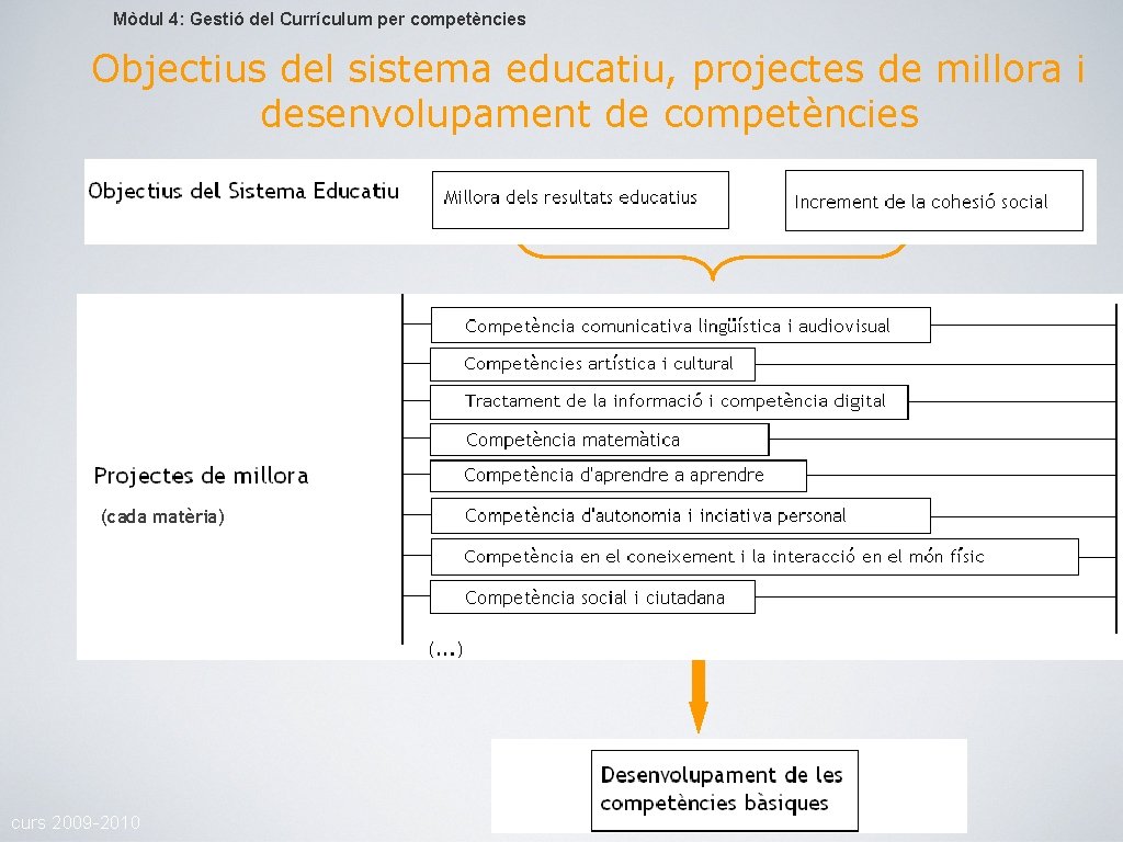 Mòdul 4: Gestió del Currículum per competències Objectius del sistema educatiu, projectes de millora
