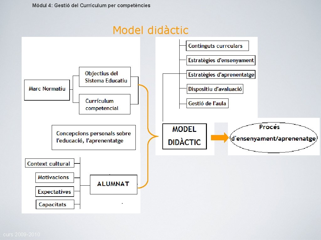 Mòdul 4: Gestió del Currículum per competències Model didàctic curs 2009 -2010 