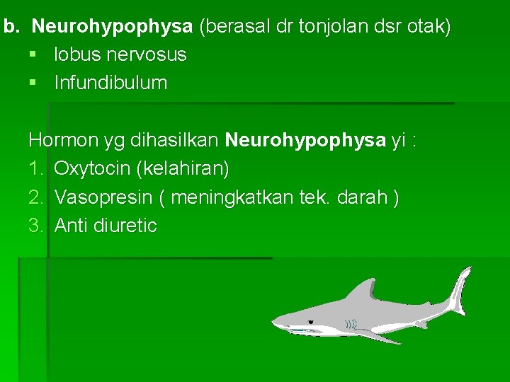 b. Neurohypophysa (berasal dr tonjolan dsr otak) § lobus nervosus § Infundibulum Hormon yg