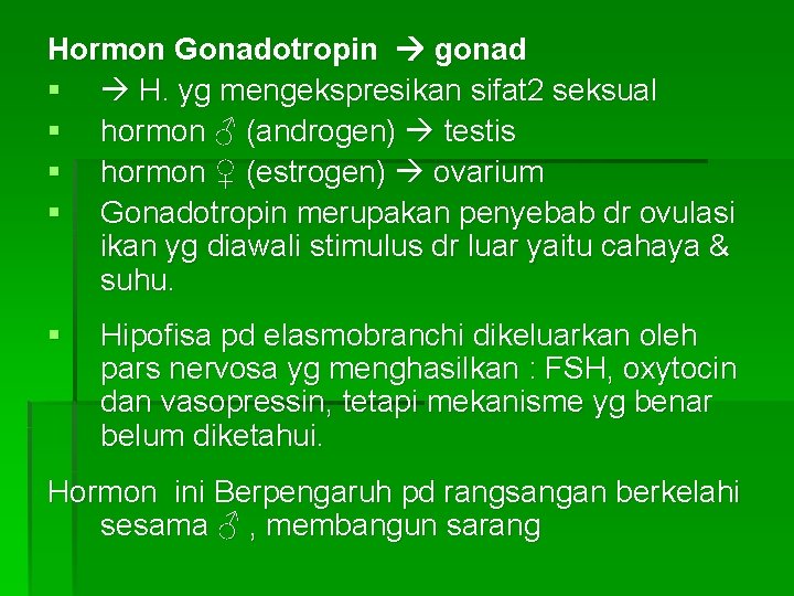 Hormon Gonadotropin gonad § H. yg mengekspresikan sifat 2 seksual § hormon ♂ (androgen)