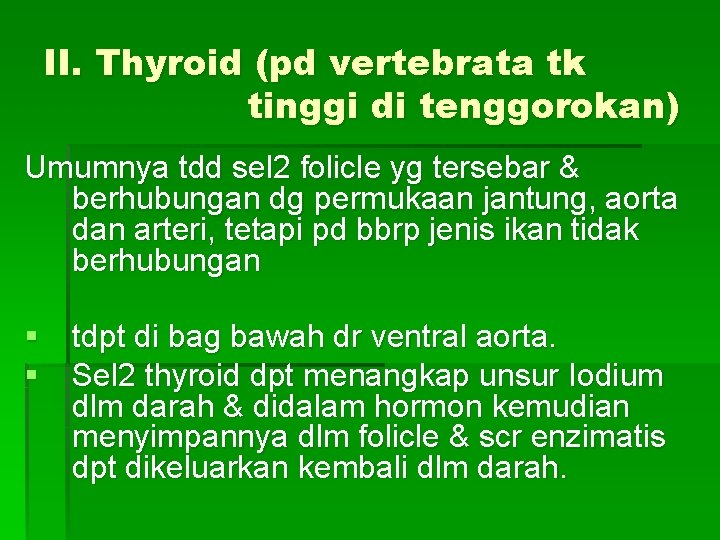 II. Thyroid (pd vertebrata tk tinggi di tenggorokan) Umumnya tdd sel 2 folicle yg