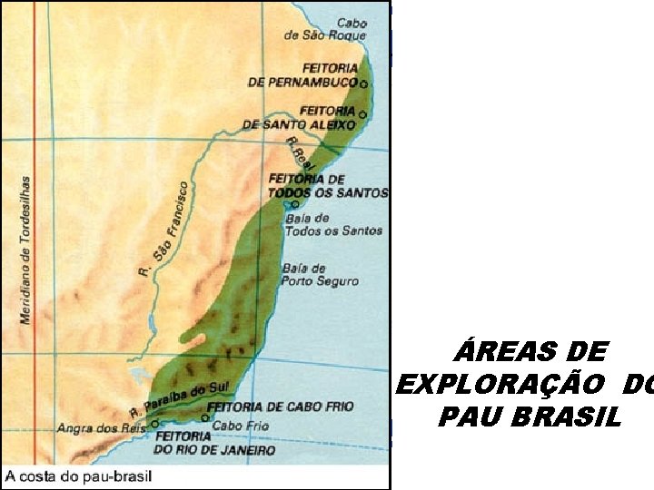 BRASIL COLÔNIA (1500 – 1822) MONTAGEM DO SISTEMA COLONIAL ÁREAS DE EXPLORAÇÃO DO PAU
