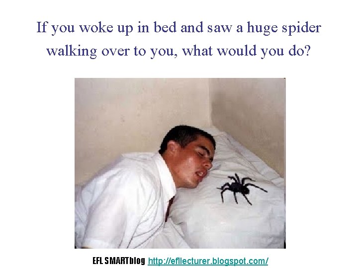 If you woke up in bed and saw a huge spider walking over to
