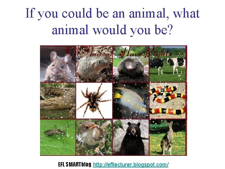 If you could be an animal, what animal would you be? EFL SMARTblog http: