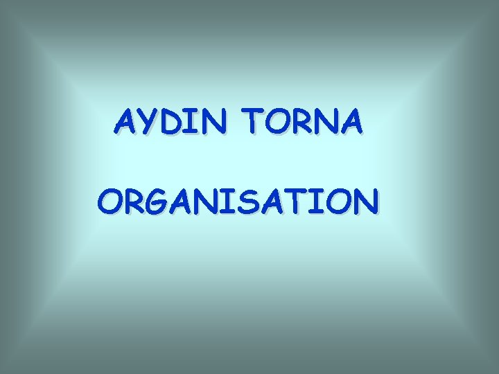 AYDIN TORNA ORGANISATION 