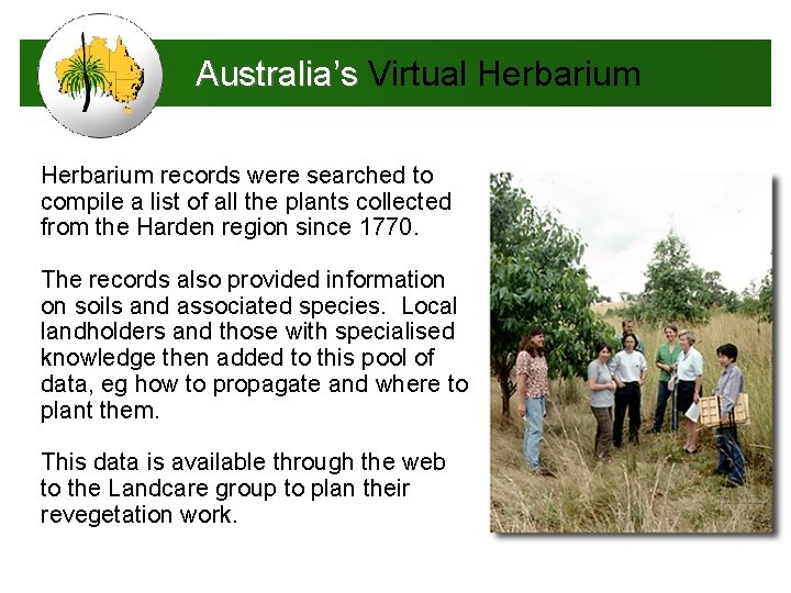 Australia’s Virtual Herbarium records were searched to compile a list of all the plants