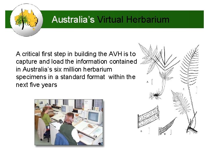 Australia’s Virtual Herbarium A critical first step in building the AVH is to capture