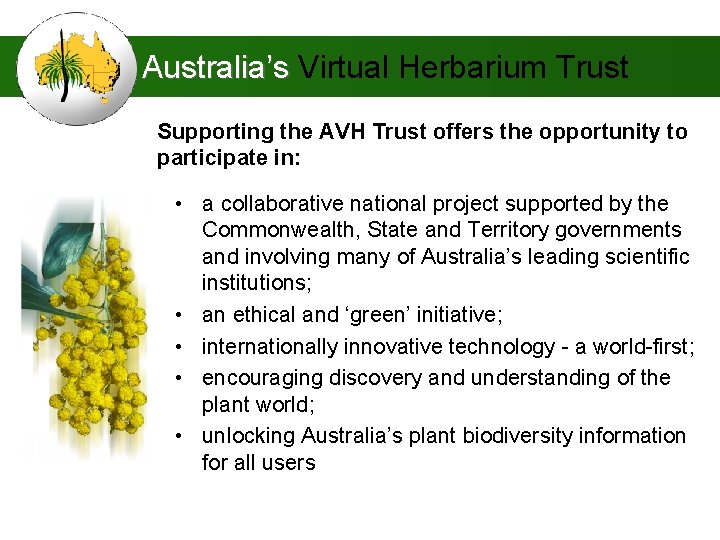 Australia’s Virtual Herbarium Trust Supporting the AVH Trust offers the opportunity to participate in: